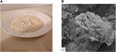 Sonicated waves procedure effect on stabilizing expansive soil by nano-clay: Treat with cause